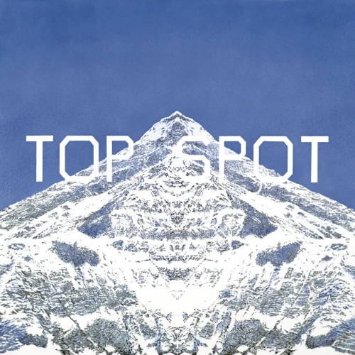 top top spot.webp