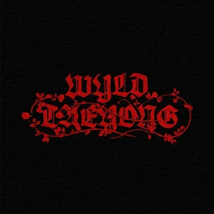 [TAEYONG (NCT)] 1st Album 'WYLD' (Zine ver.)