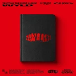 [TAEYONG (NCT)] 1st Album 'WYLD' (WYLD BOOK ver.)
