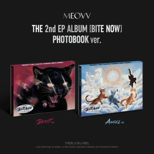 meovv bite now.webp