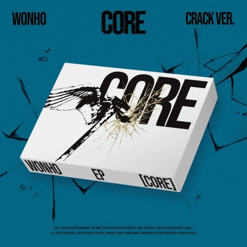 wonho core crack.webp