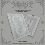 [ALPHA DRIVE ONE (ALD1)] 2nd Mini Album 'UNBREAKABLE: 少年BEAST' (Fragile Beast ver.)